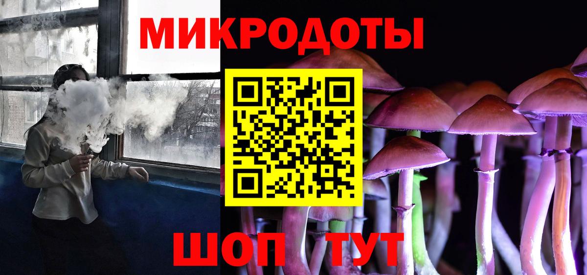 Галлюциногенные грибы Psilocybe Ярцево